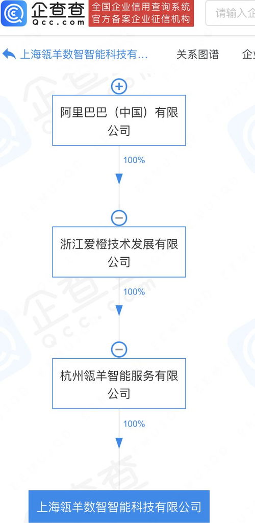 阿里巴巴旗下瓴羊数智科技公司落户上海，加速数据处理与存储服务布局